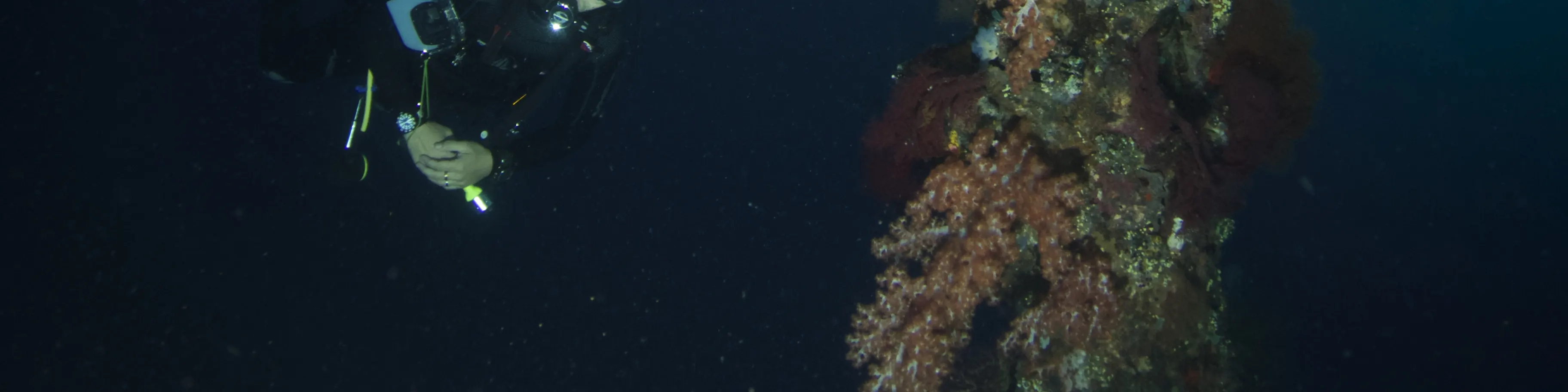 在 USAT Liberty Wreck Tulamben 进行 2 次潜水