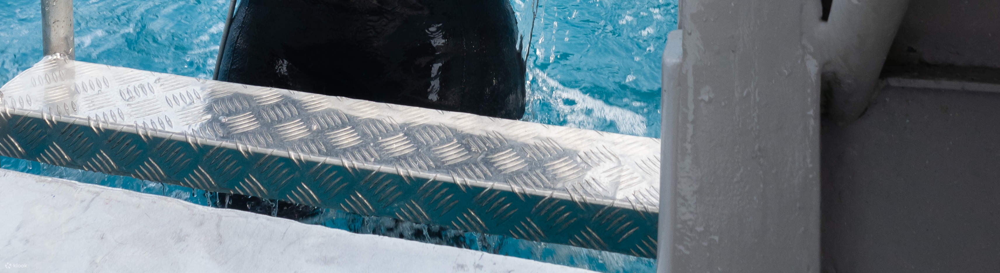 PADI Open Water Diver (E-learning)