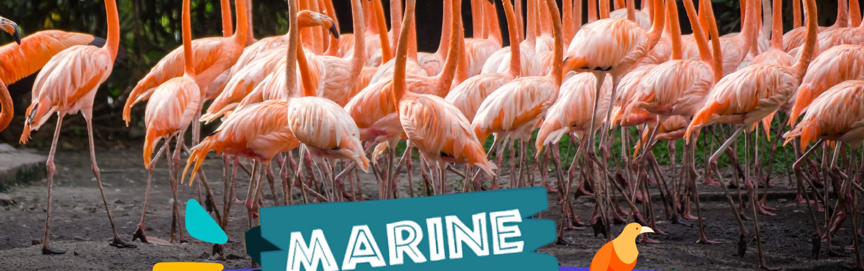 Safari World, da non perdere