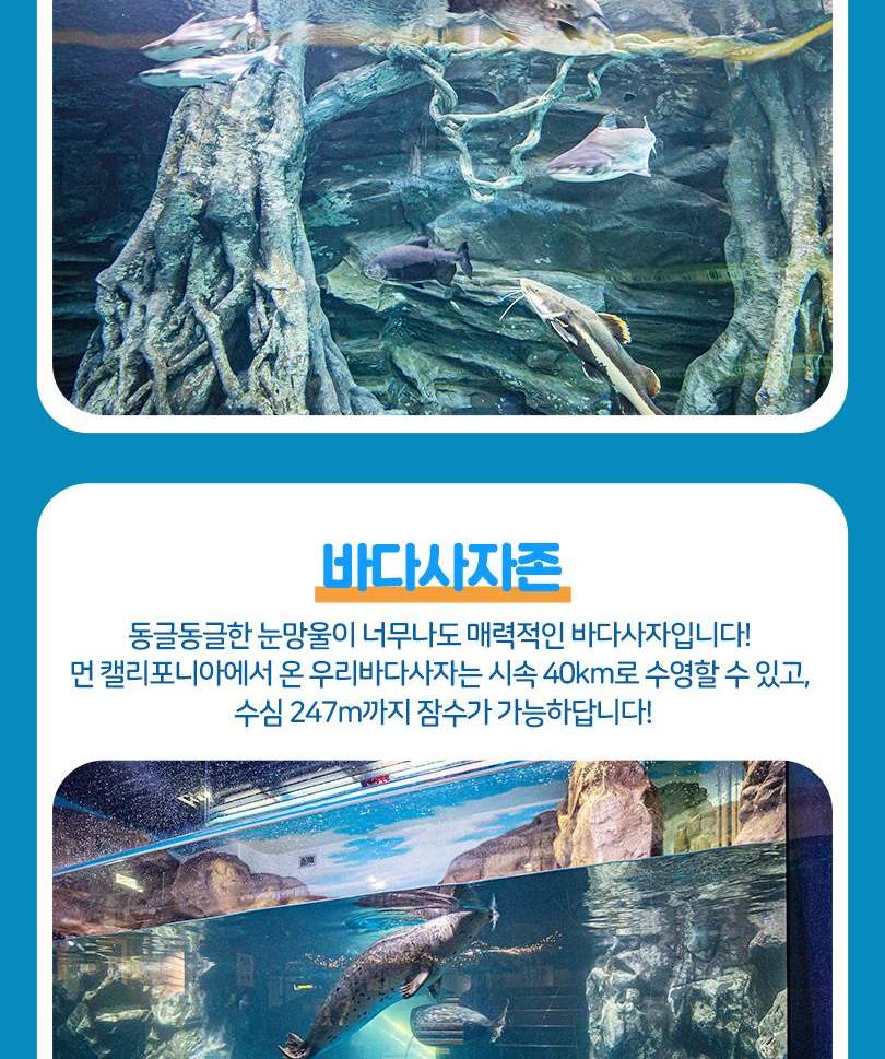 서울스카이 + 롯데월드 아쿠아리움 입장권