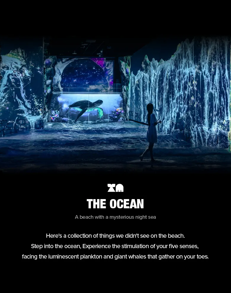 济州水世界数位主题乐园门票