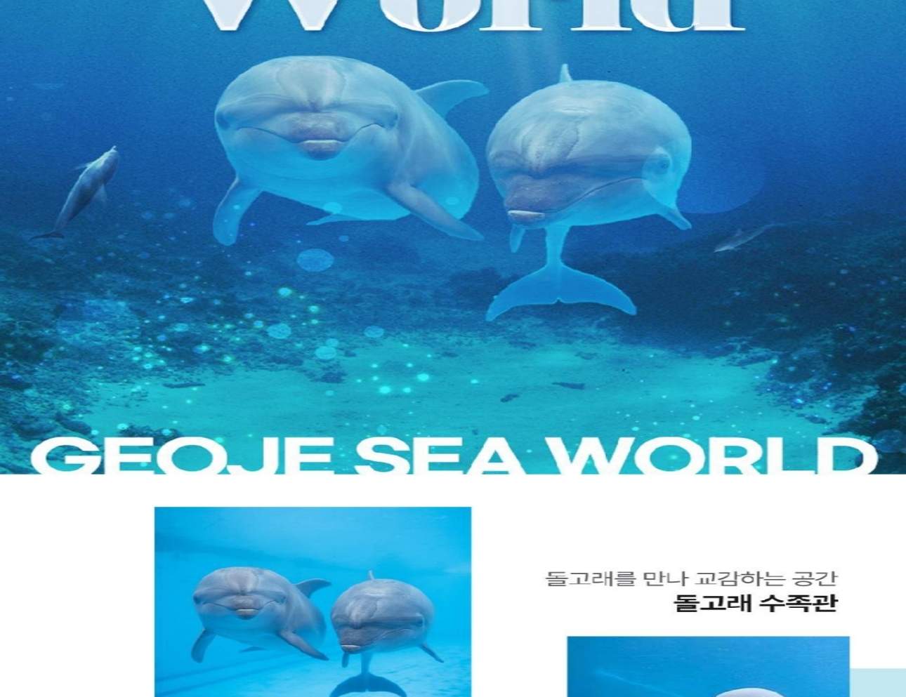 경남 거제 씨월드 입장권