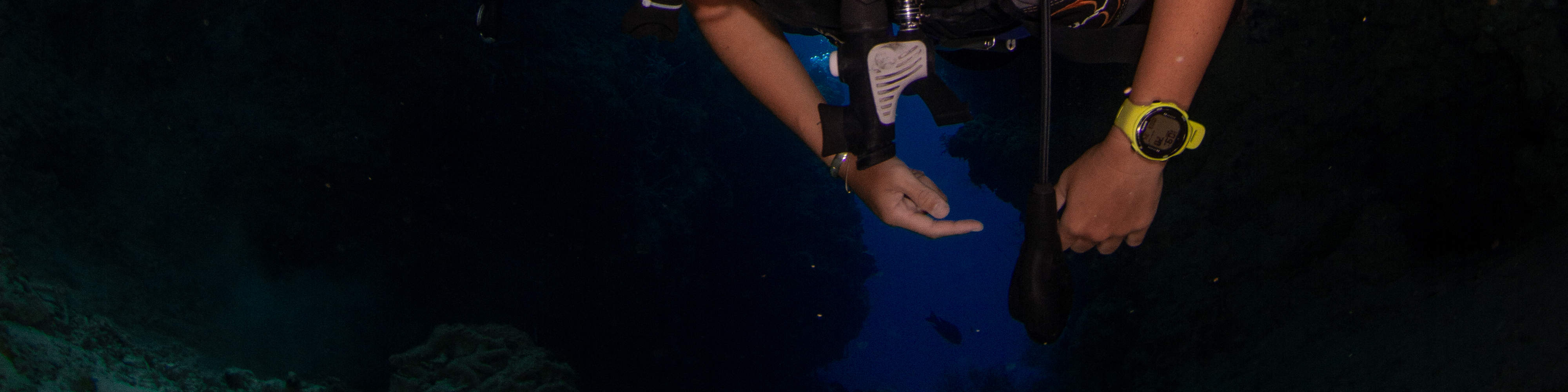 PADI Advanced Open Water Diver in Bali with PADI 5 Star Dive Resort Klook