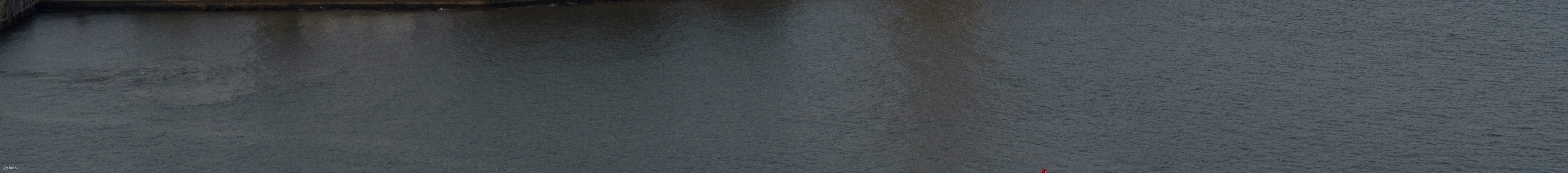 Explore el puerto de Nueva York y la emblemática Estatua de la Libertad desde un helicóptero