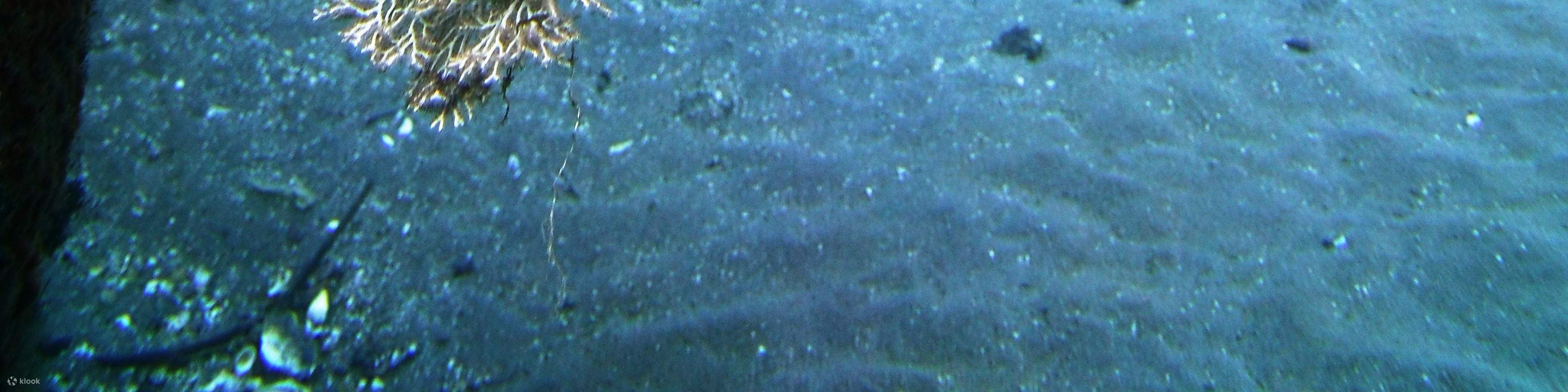 Два погружения к затонувшему кораблю в Туламбене