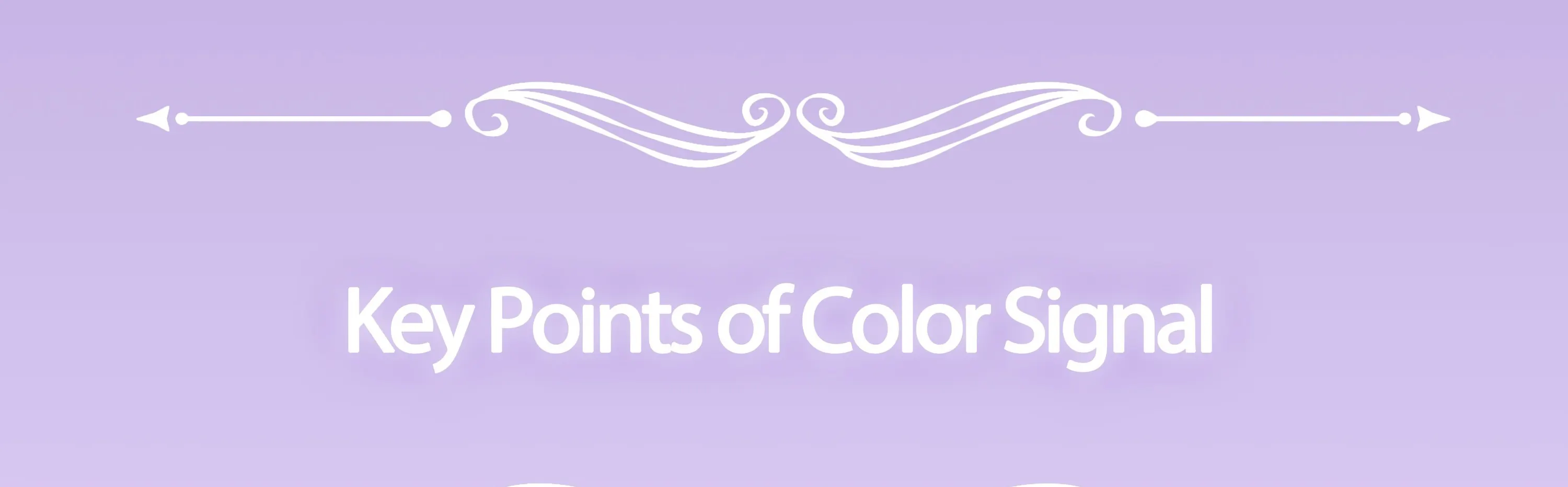 首尔江南区 Color Signal 的个人色彩分析体验