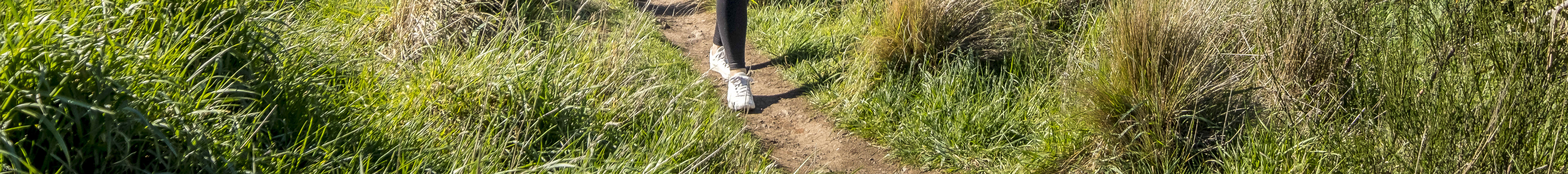 Explorez les nombreux sentiers pédestres du mont Cavendish