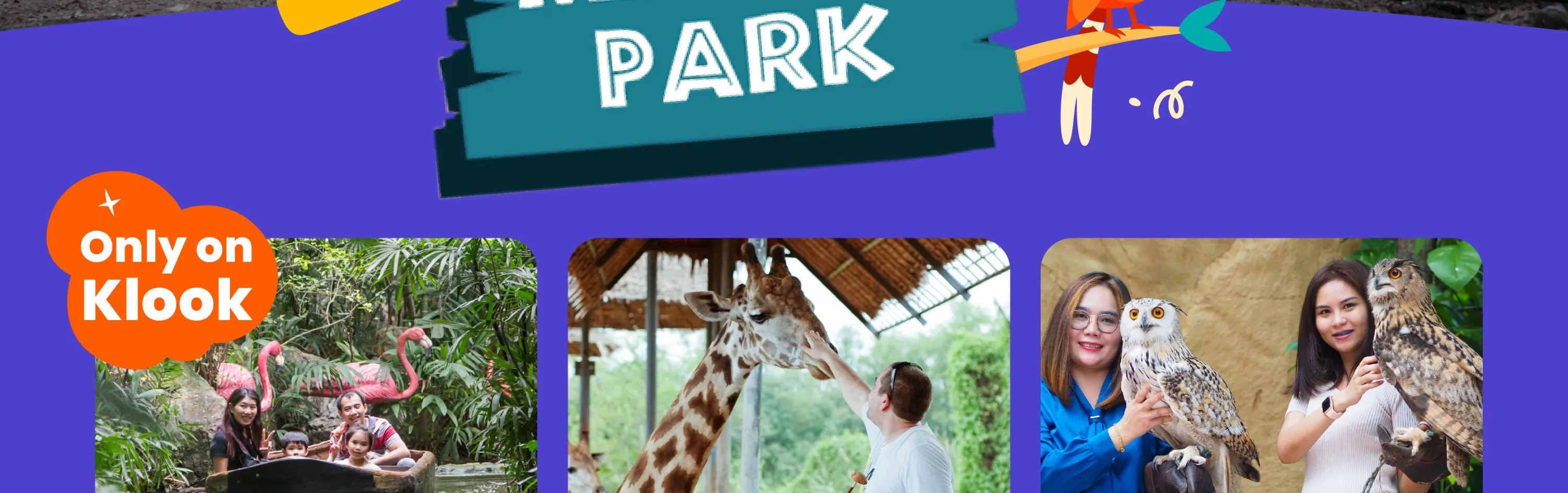 野生動物園必看