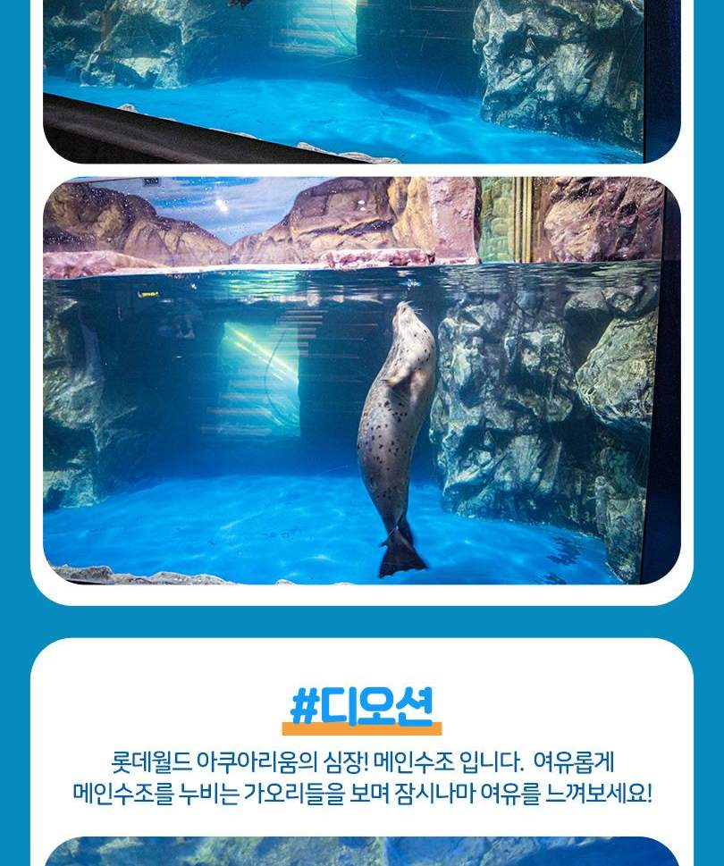 서울스카이 + 롯데월드 아쿠아리움 입장권