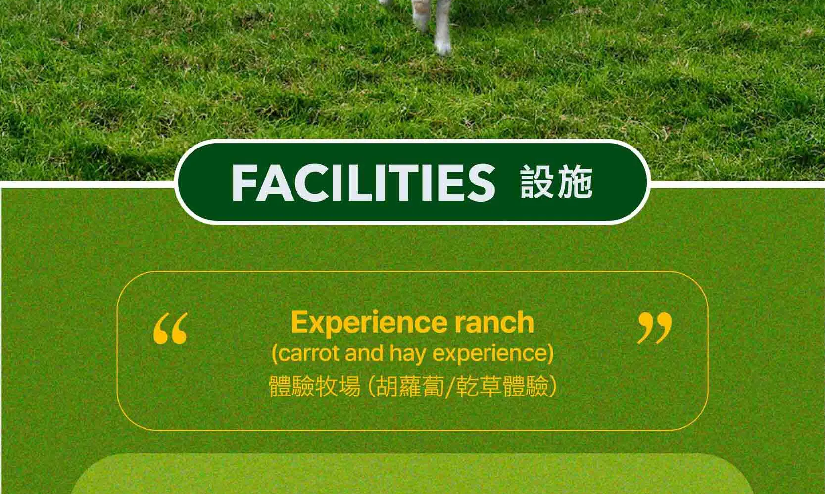 绵羊牧场 Tikcet（羊驼、绵羊、兔子） 京畿道加平