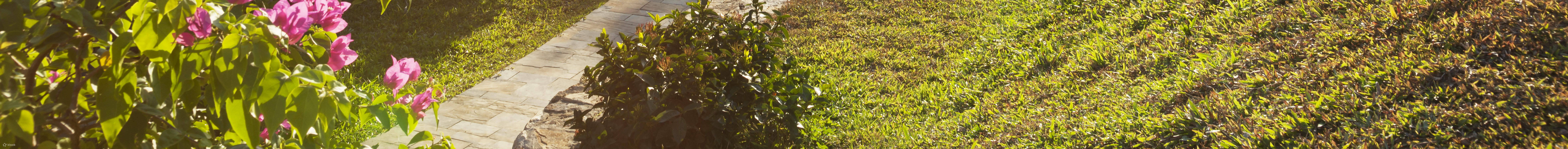 โอ๊ควิโฮ แฟรี่ วัลเลย์