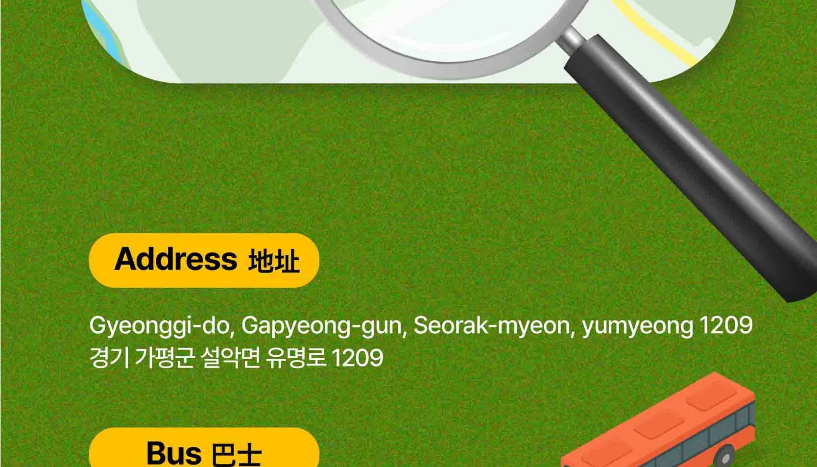 绵羊牧场 Tikcet（羊驼、绵羊、兔子） 京畿道加平