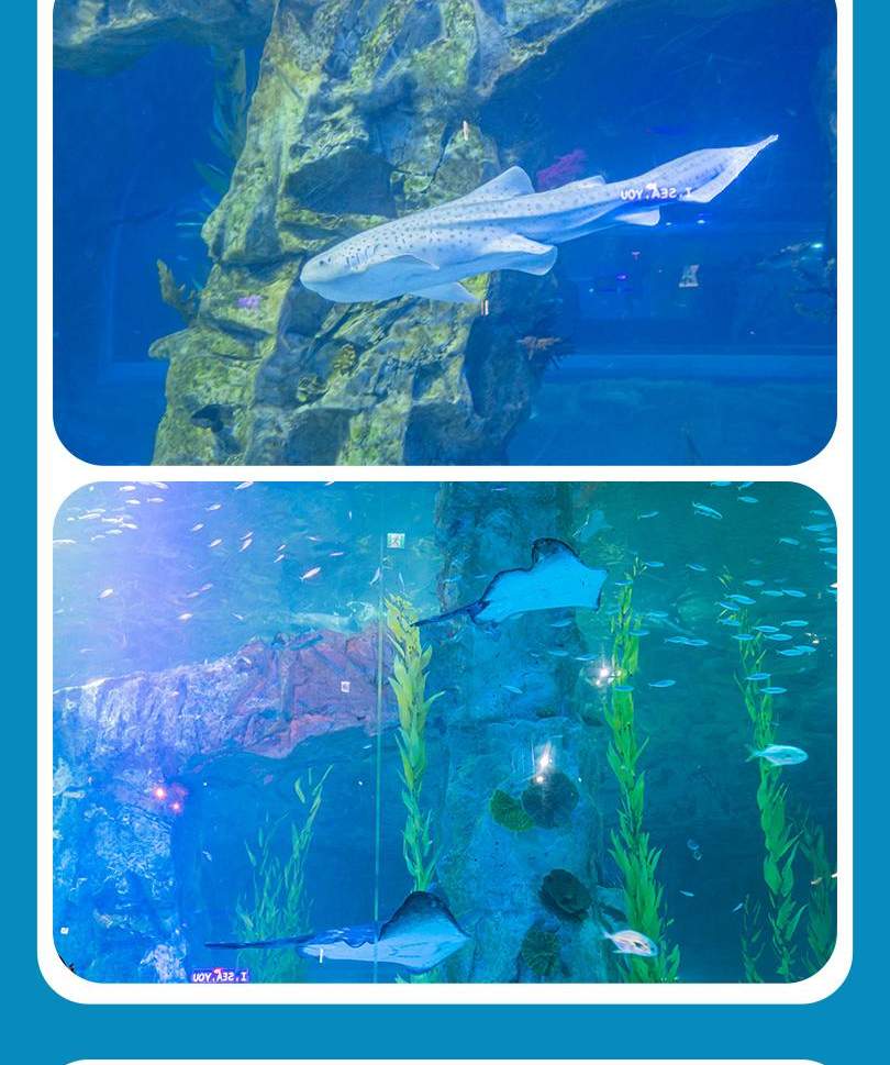 서울스카이 + 롯데월드 아쿠아리움 입장권