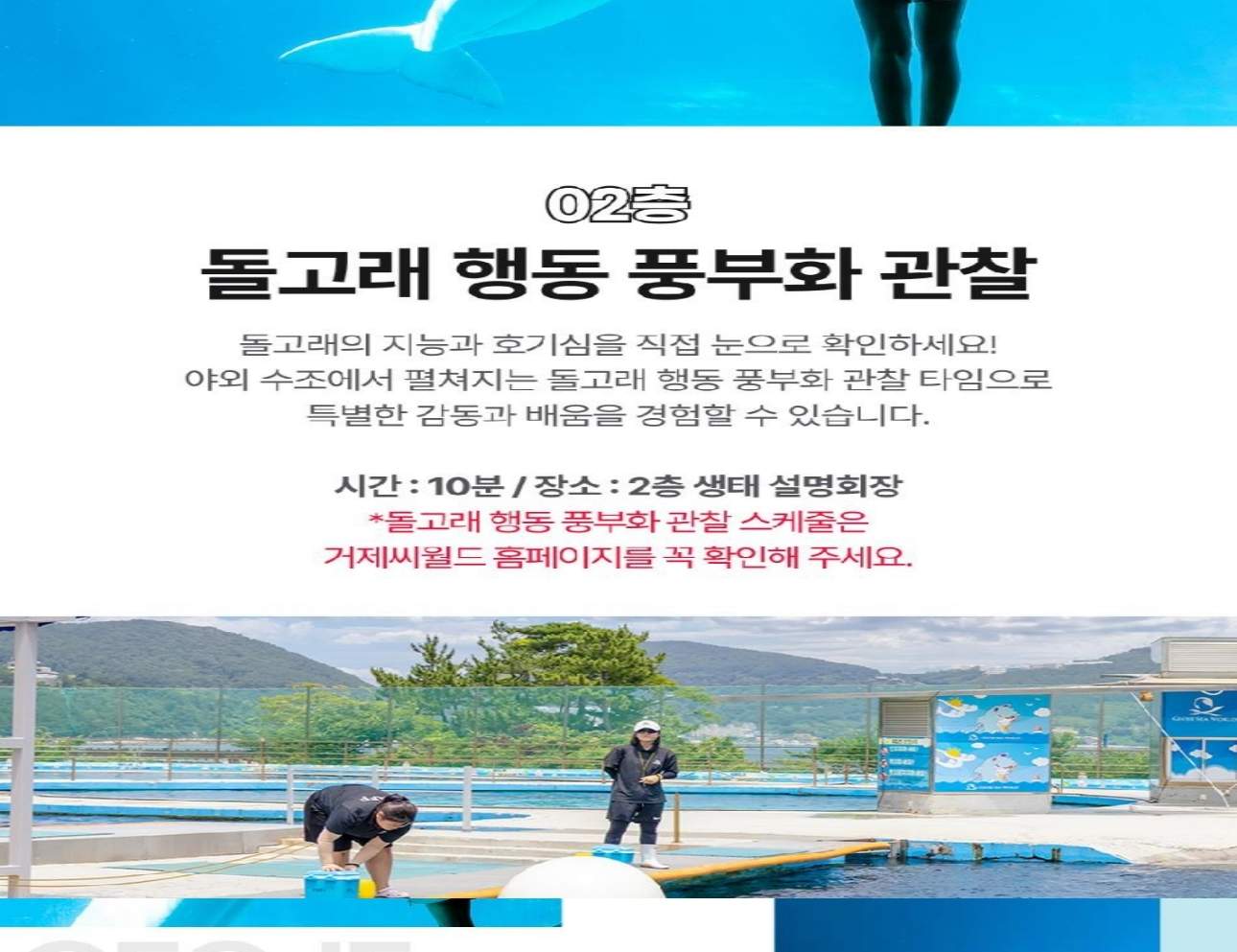 경남 거제 씨월드 입장권