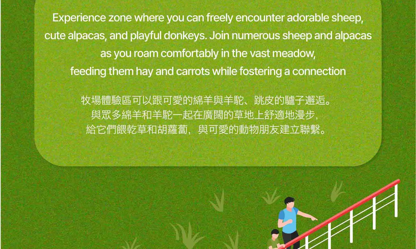 绵羊牧场 Tikcet（羊驼、绵羊、兔子） 京畿道加平