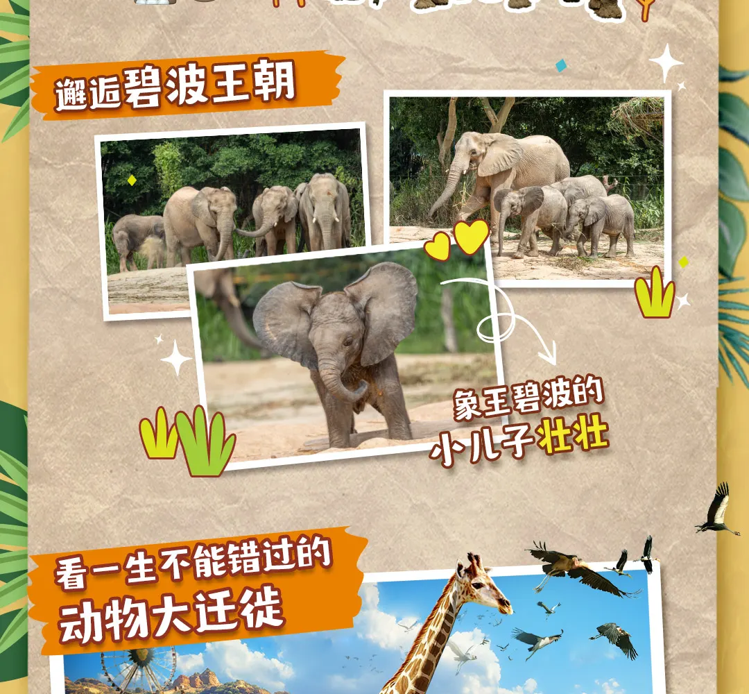 长隆