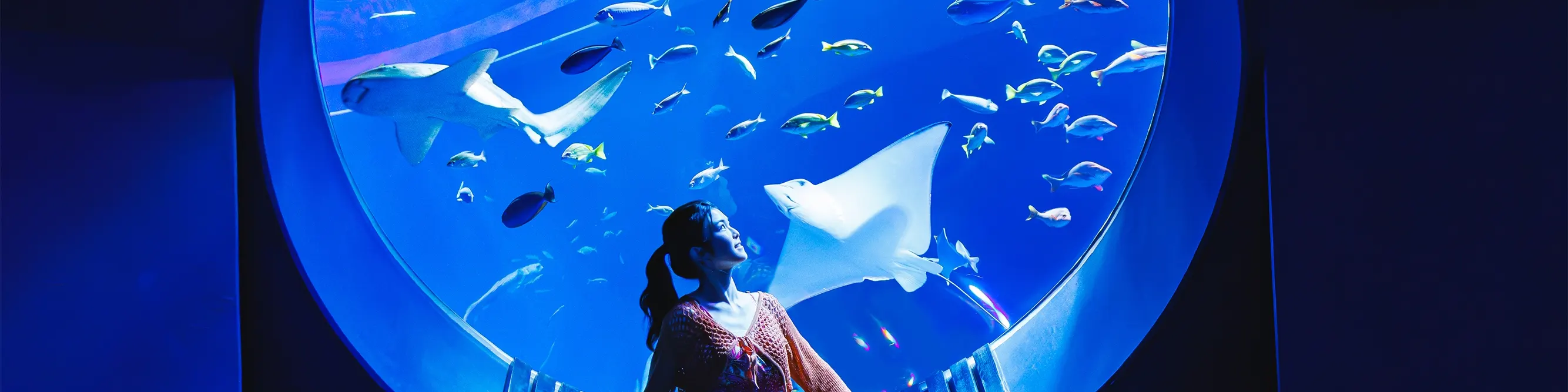 冲绳 DMM Kariyushi 水族馆门票