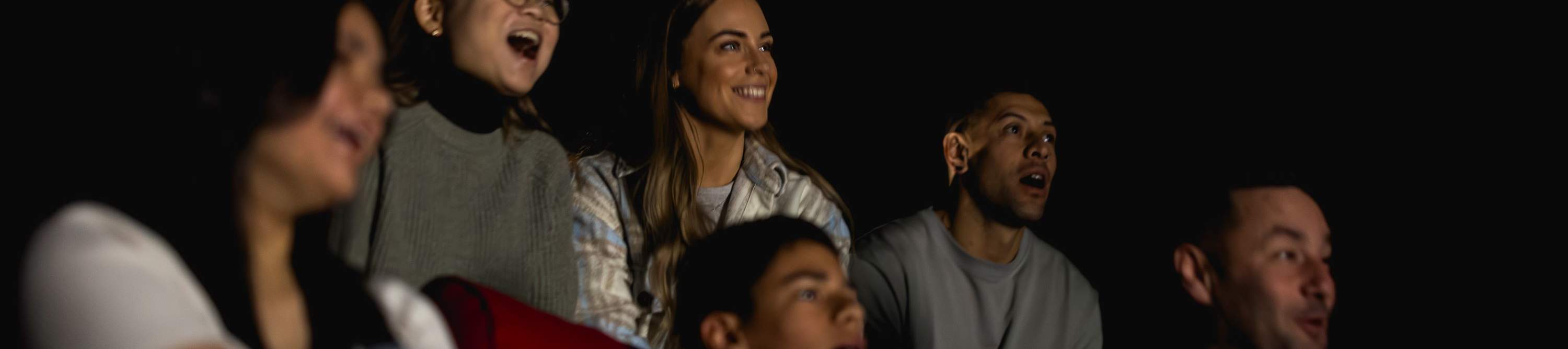 Dark Sky Experience di Dark Sky Project a Tekapo