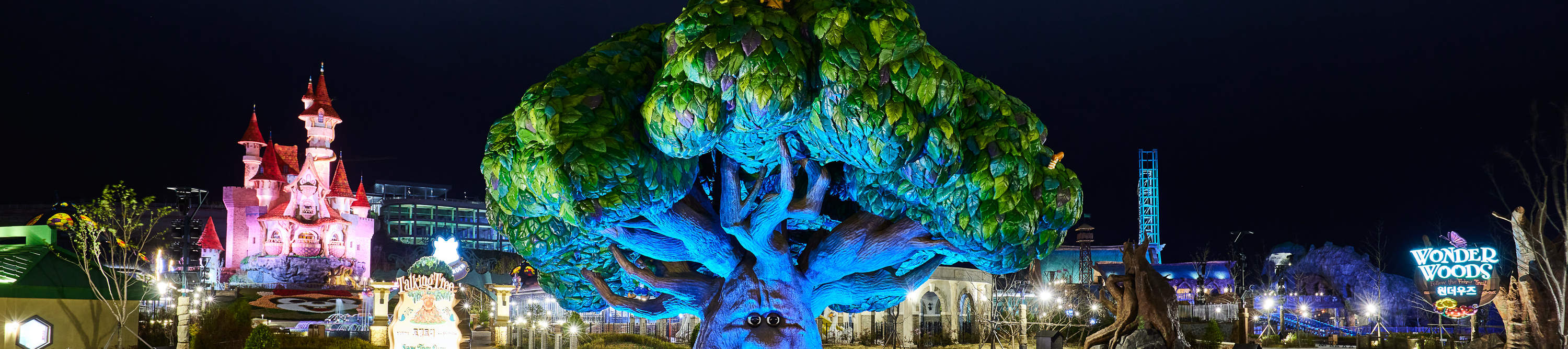 Night view of tree