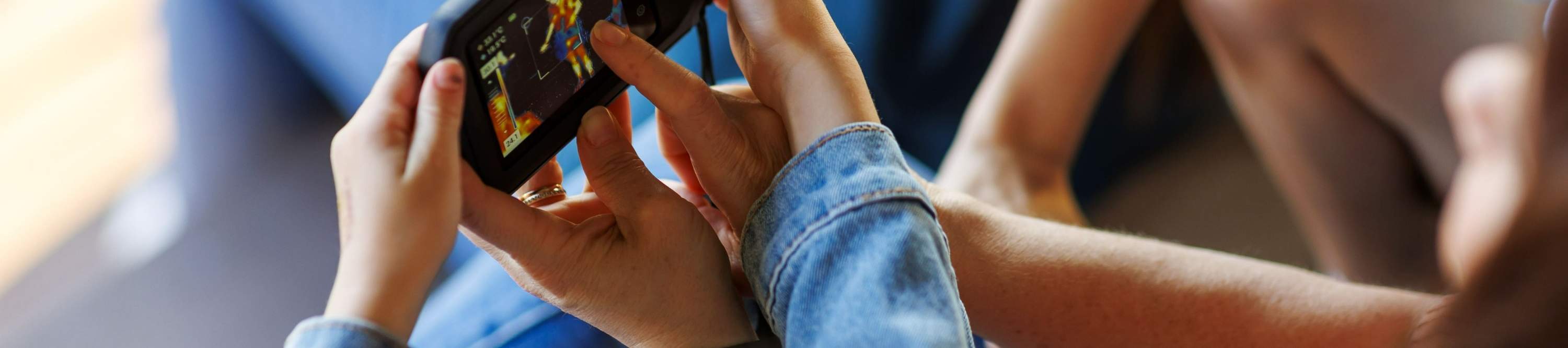 ローンパインコアラサンクチュアリ 入場チケット