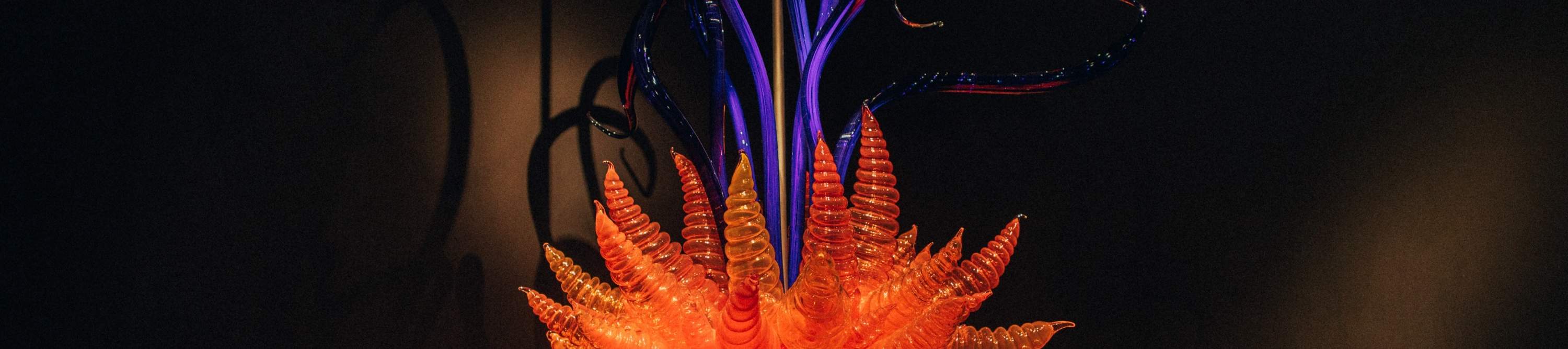 Explorer des galeries remplies d'art et d'artisanat locaux éclectiques