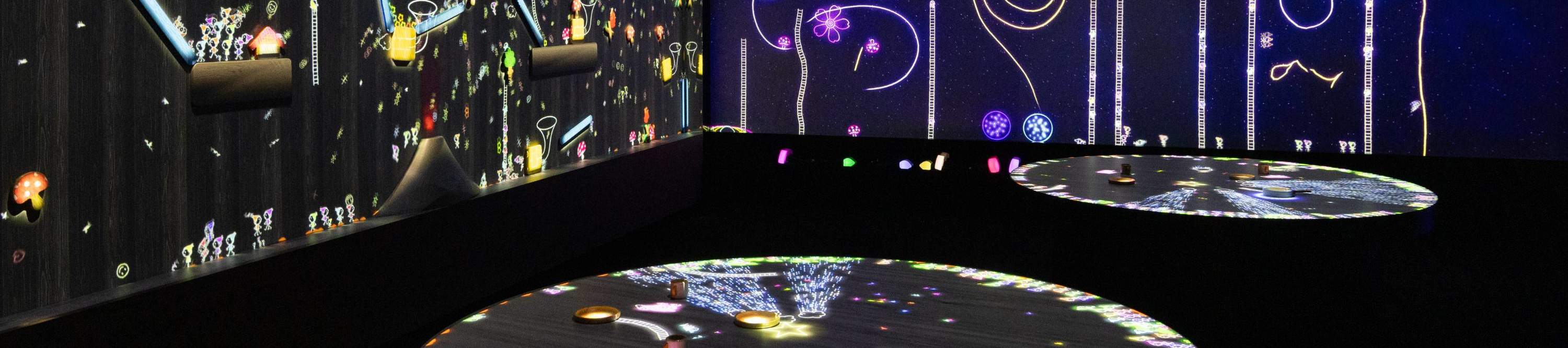 Panjat Tebing Udara Melewati Sekawanan Burung Berwarna