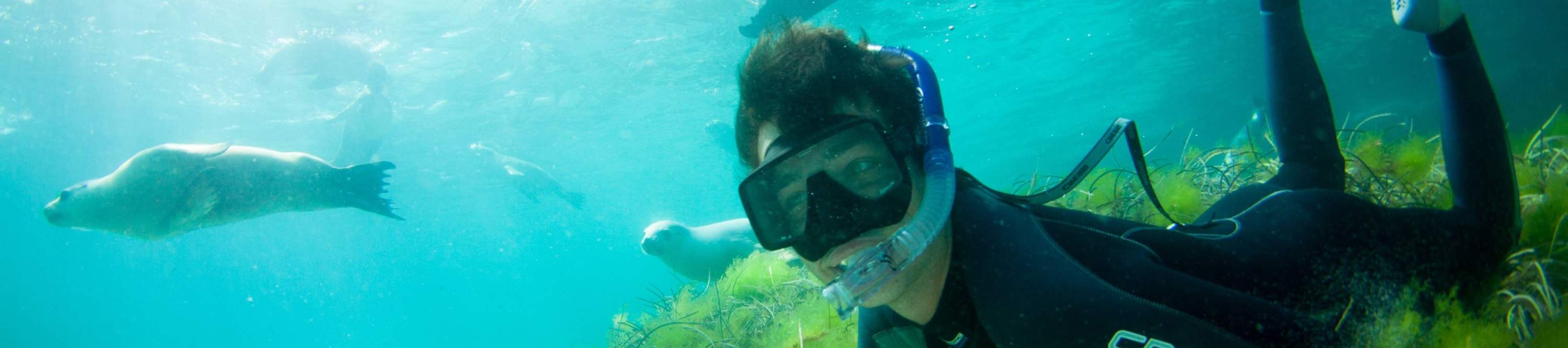 Aventura submarina de fin de semana en Port Lincoln