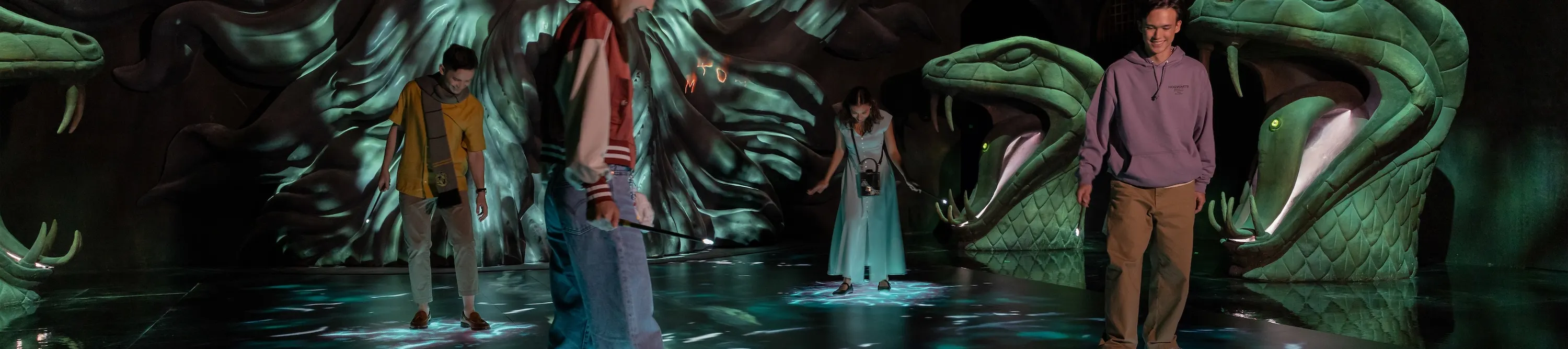 哈利波特：魔法幻象 (Harry Potter: Visions of Magic)