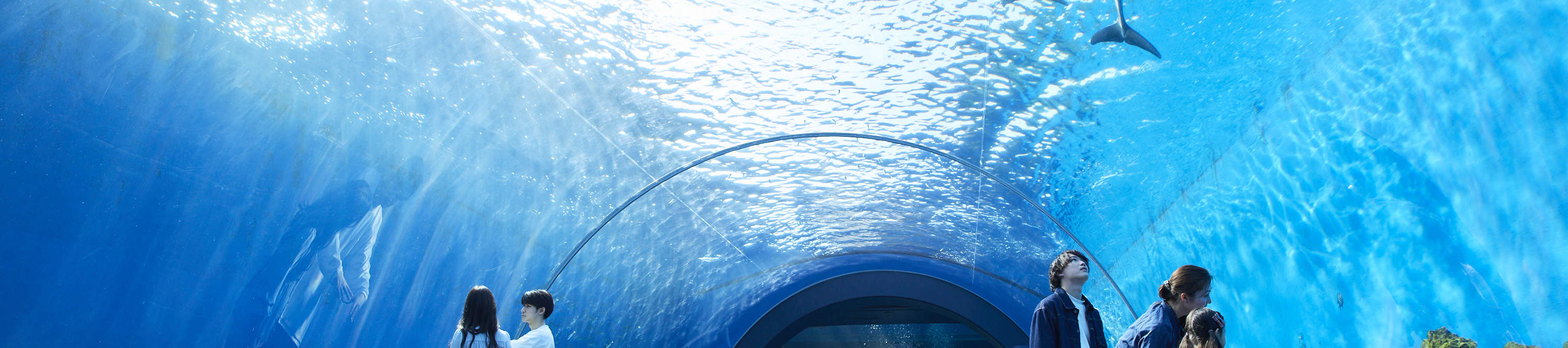 Билет в Yokohama Hakkeijima Sea Paradise