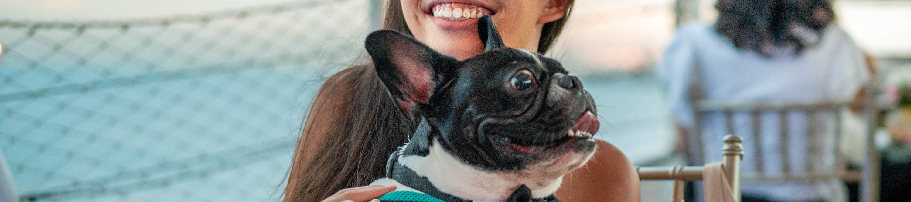 The World’s First Dog Cruise dengan Royal Albatross