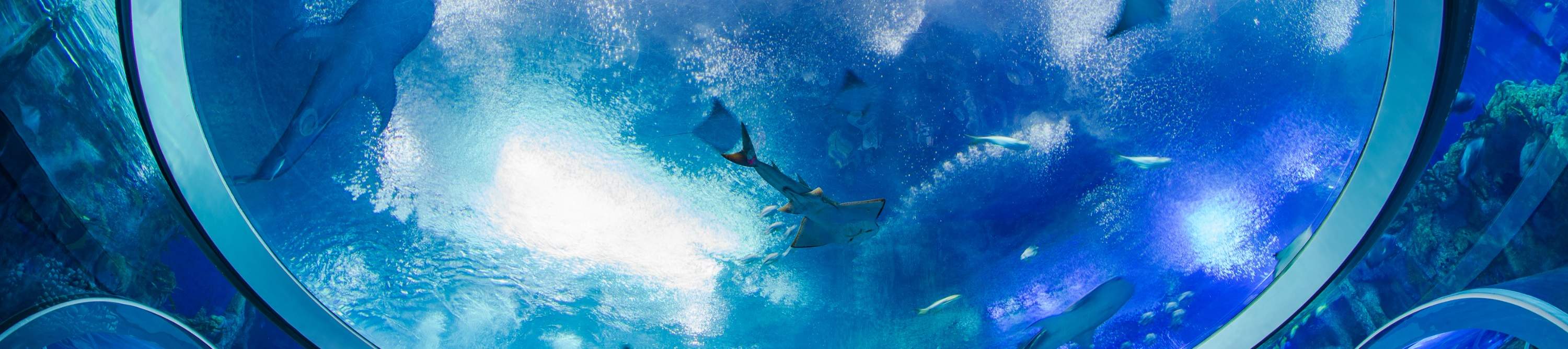 珠海長隆海洋王國