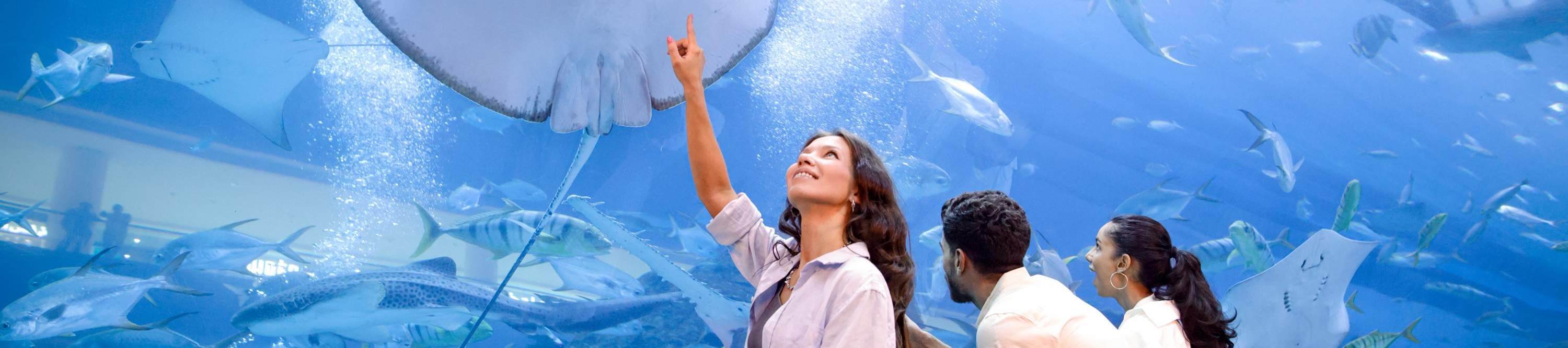Biglietto per il Dubai Aquarium