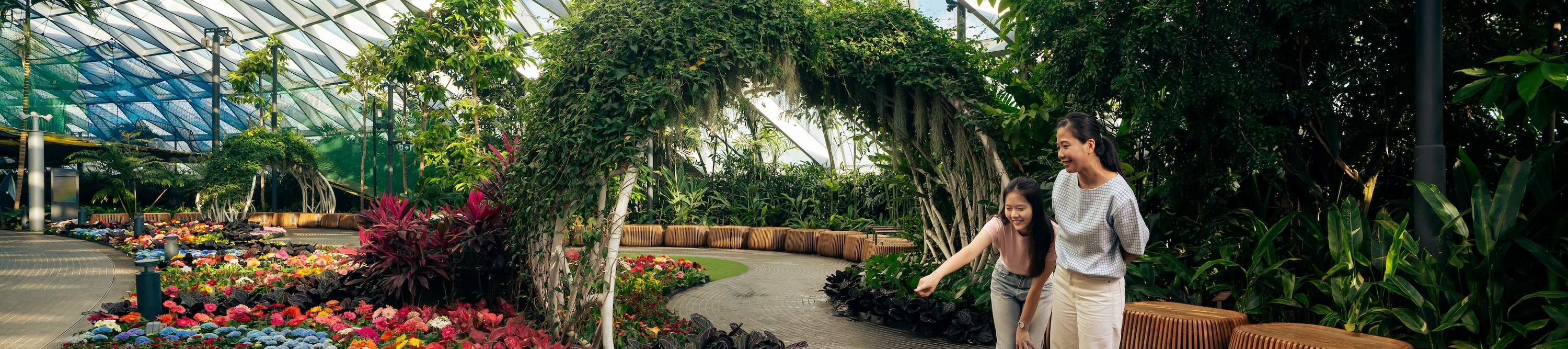 新加坡星耀樟宜景点门票