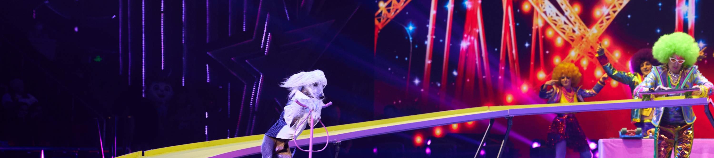 パウスタースケートボードチーム