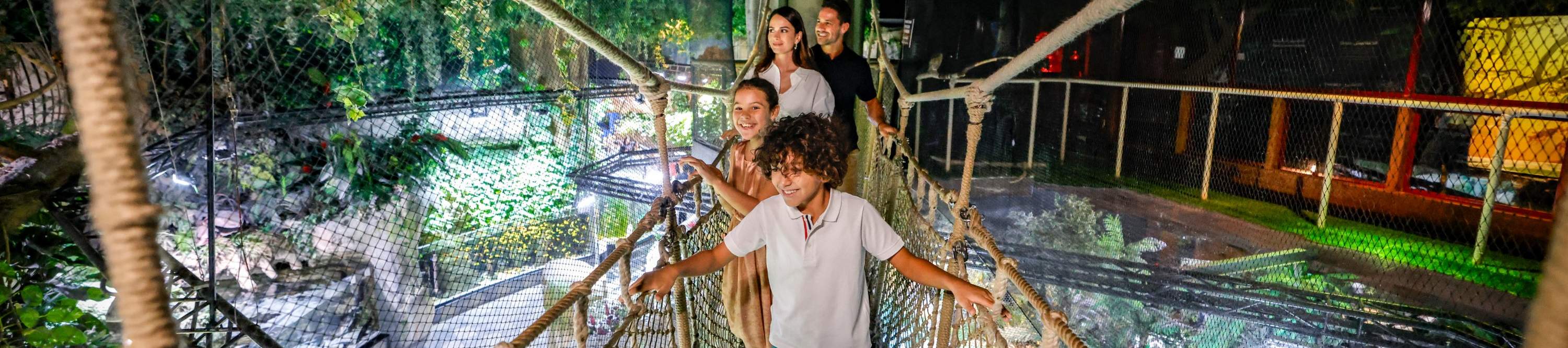 Dubai Aquarium Ticket