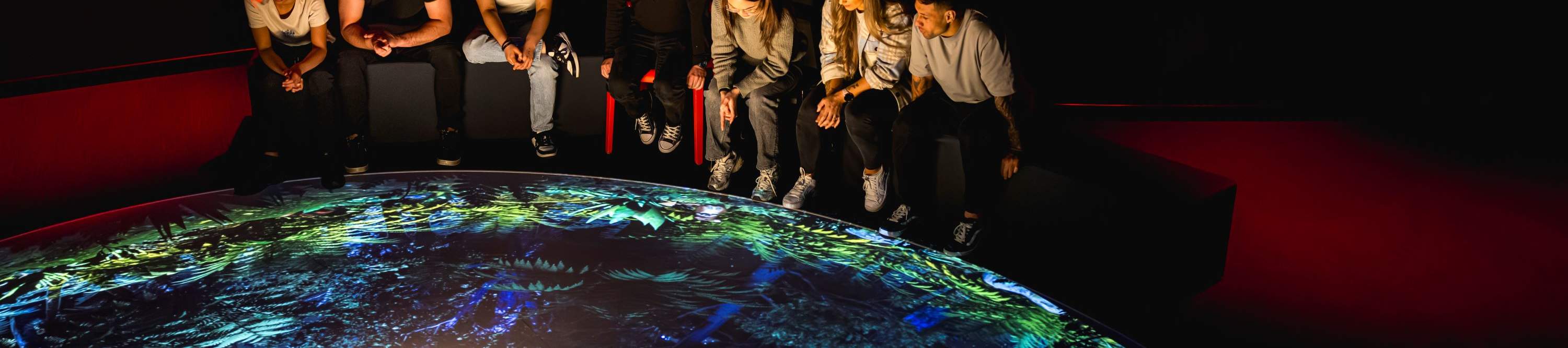 Dark Sky Experience di Dark Sky Project a Tekapo