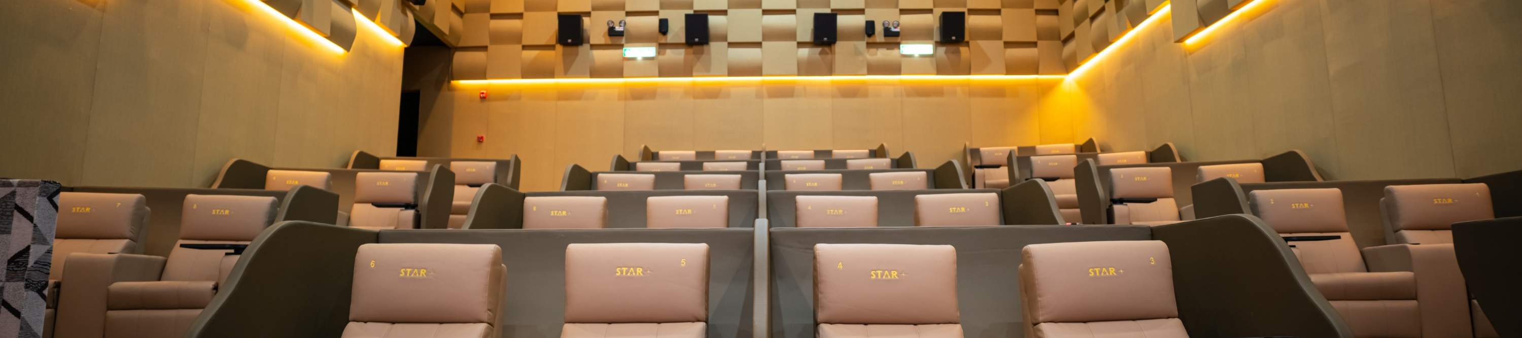 다디 시네마 말레이시아 영화 이용권