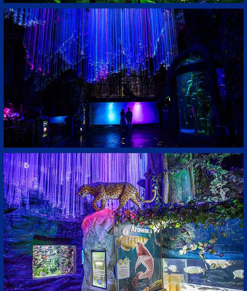 아쿠아플라넷 여수 입장권