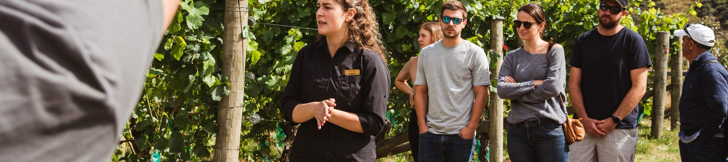 กลุ่มนักท่องเที่ยว