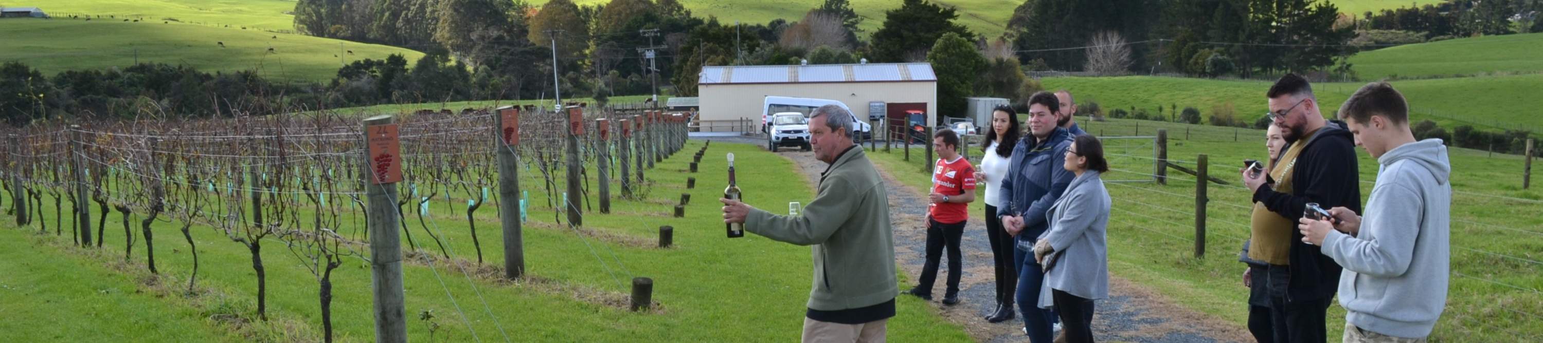 Découverte de sculptures éclatantes au milieu de vignobles luxuriants et de collines ondoyantes