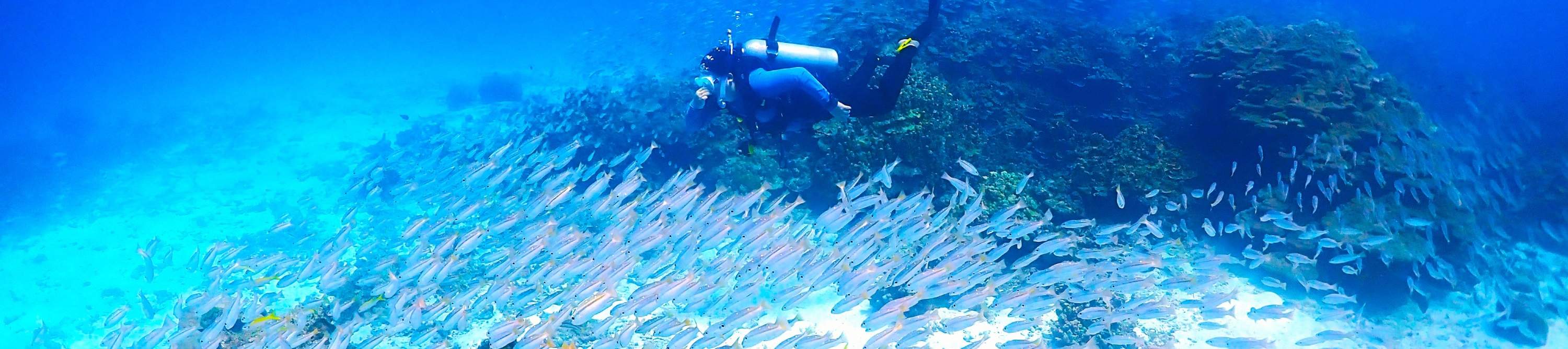 普吉岛潜水体验：麦通私人岛或皇帝岛任你选