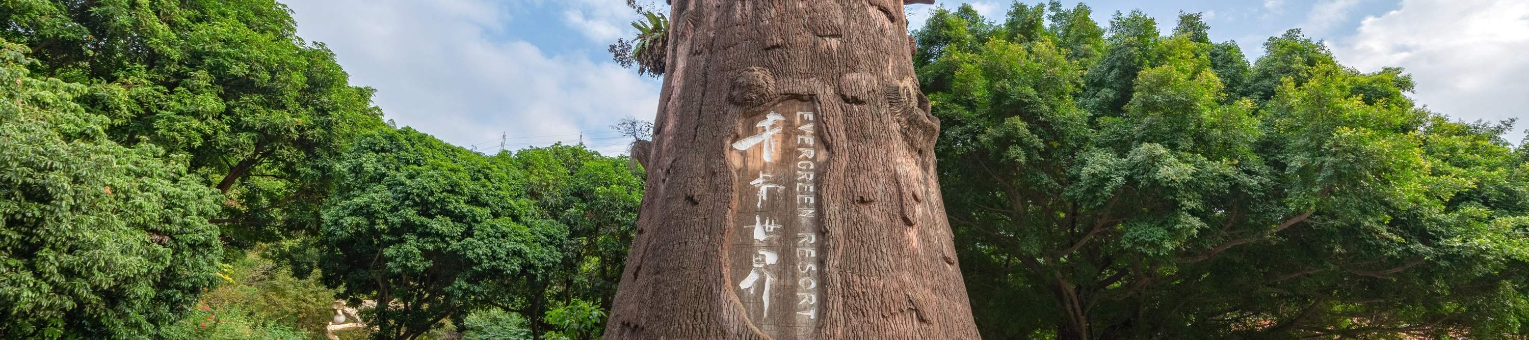 โรงแรมเซินเจิ้น ชิงชิง เวิลด์