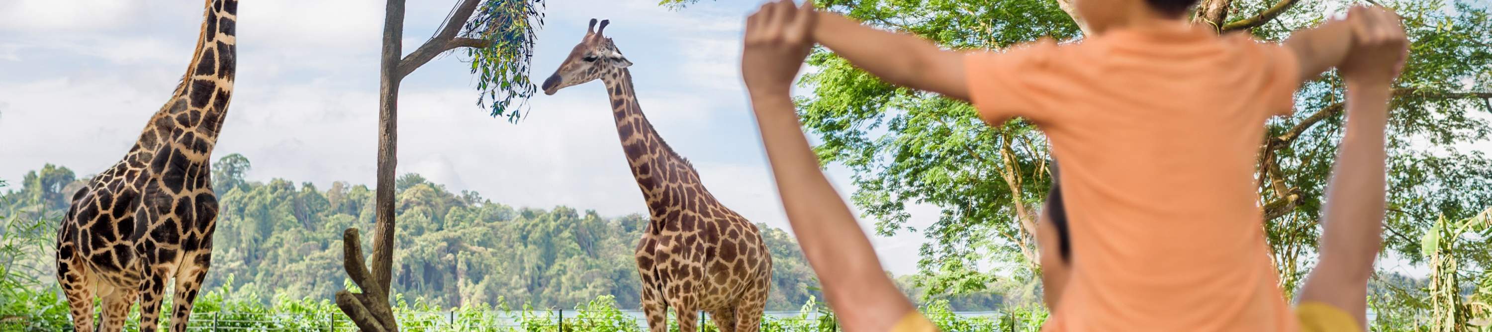 Singapore Shuttle Bus oleh Luxury Tours 