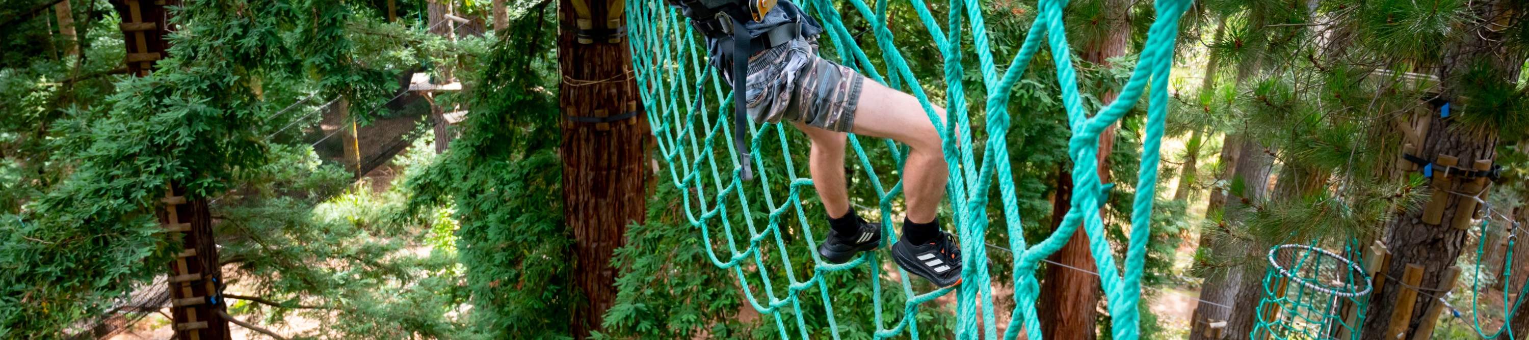 лазание по сетке