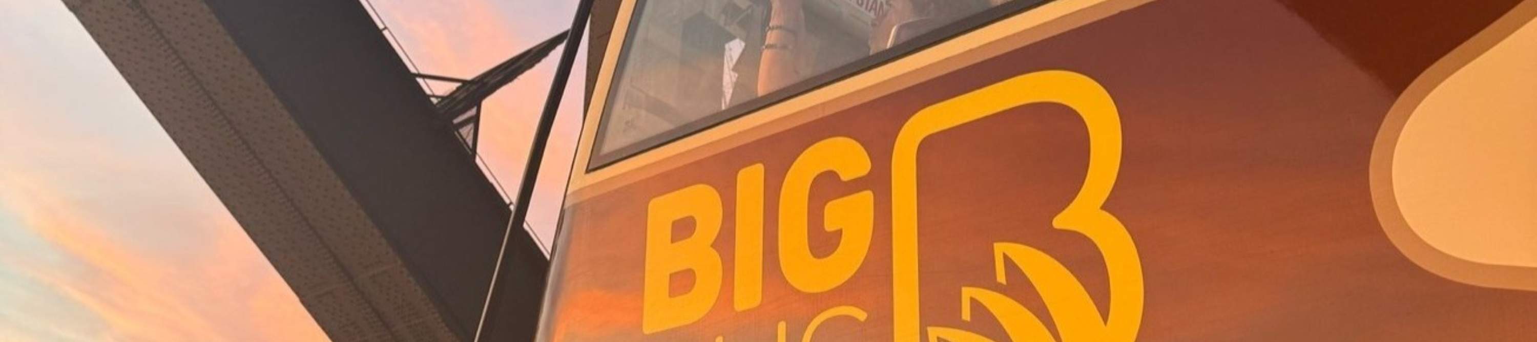 Ammira le luci scintillanti di Sydney a bordo di un autobus scoperto notturno