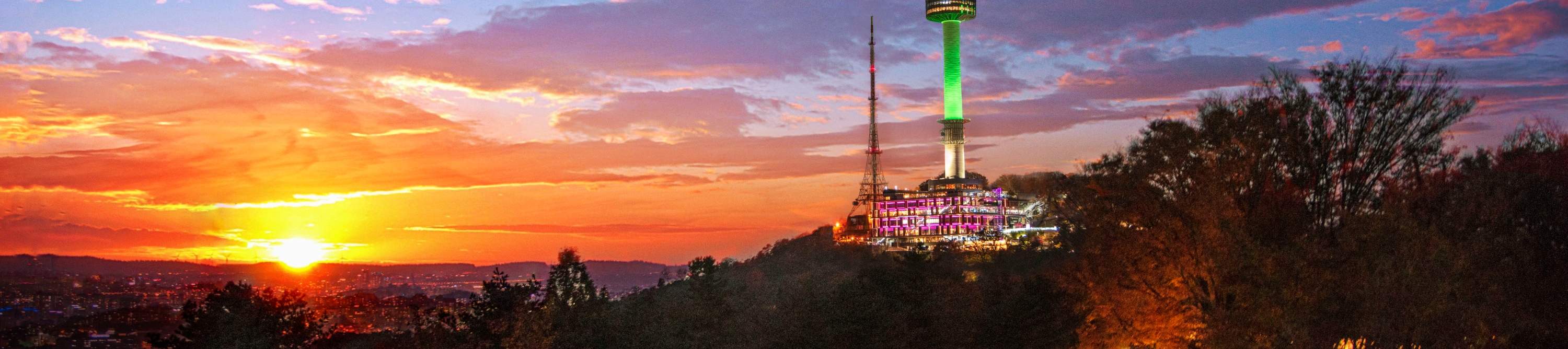 N서울타워 전망대 티켓