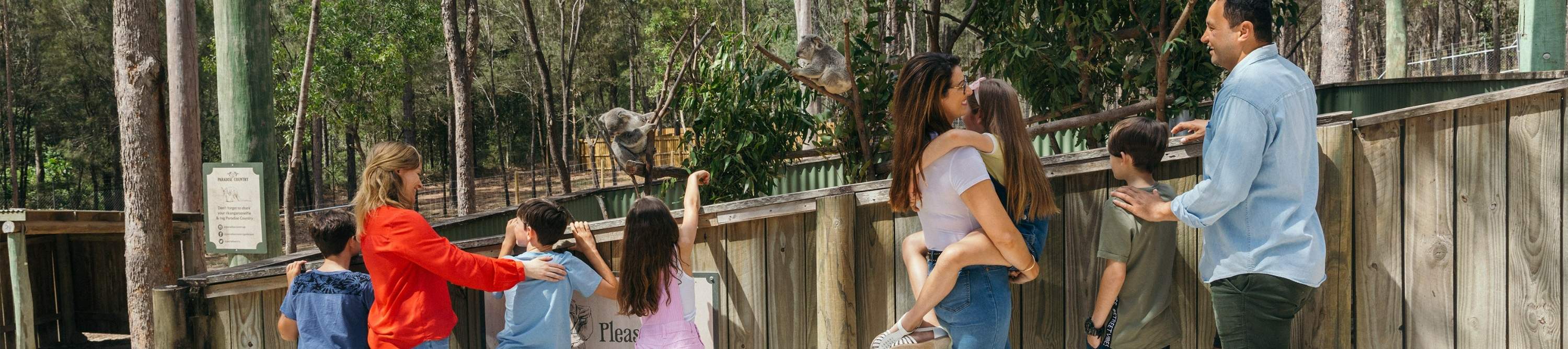 Прогуляйтесь по тропе дикой природы и понаблюдайте за сонными коалами, уютно устроившимися на эвкалиптовых деревьях.