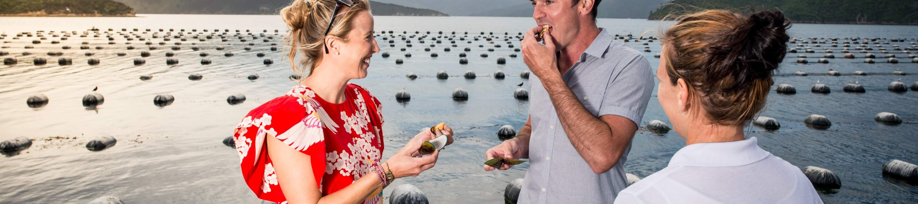 Cozze verdi al vapore 