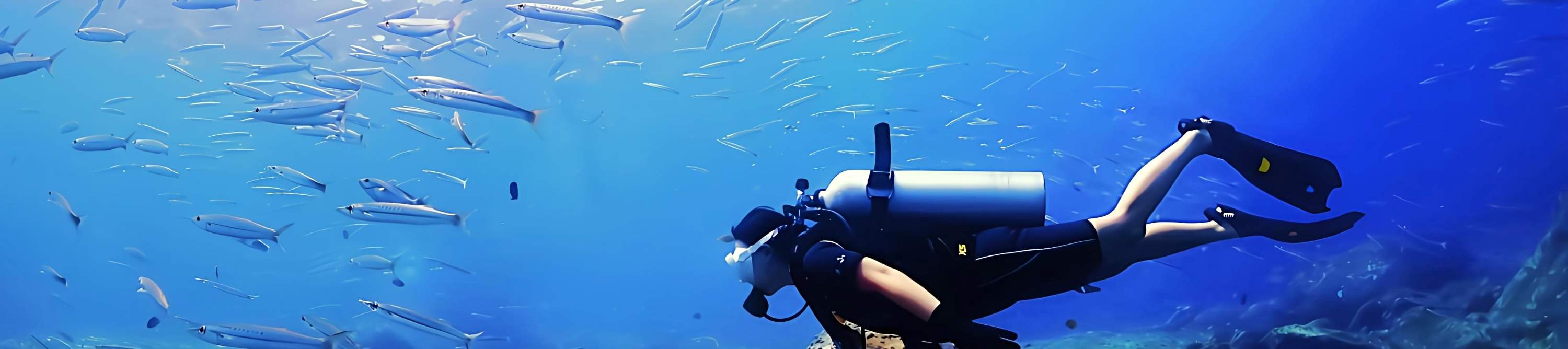 Phuket Scuba Diving Racha Islands 1-3 Dives For All Levels