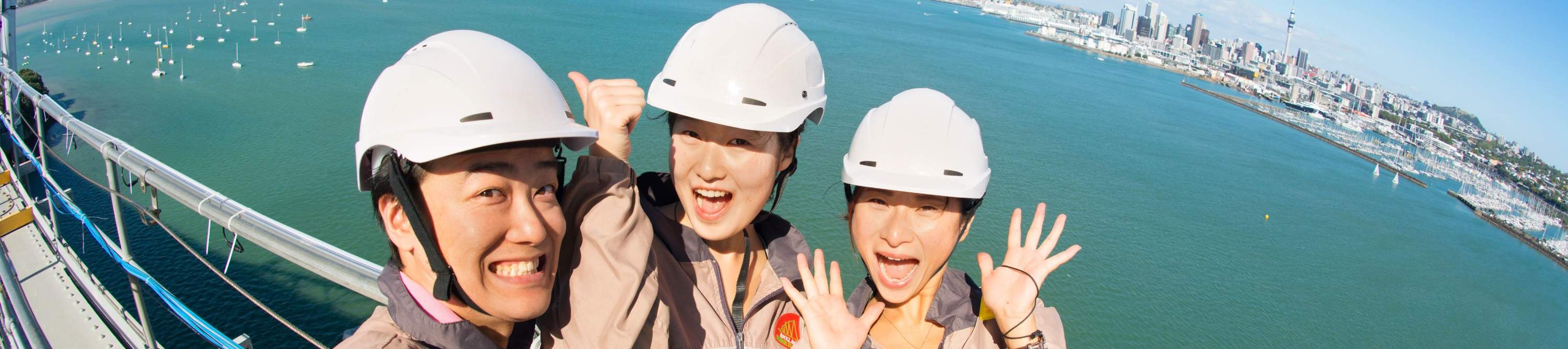 Harbour Bridge Climb Auckland